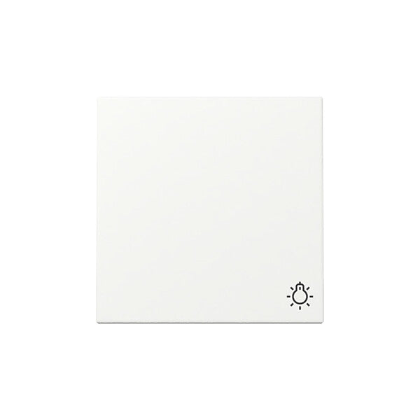 Gira Wippe Symb. Licht Reinweiß m 328527
